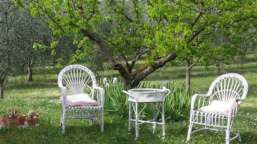 فيلا Agriturismo Podere La Cascata ماسا ماريتيما المظهر الخارجي الصورة