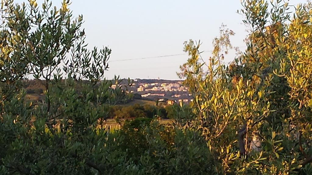 فيلا Agriturismo Podere La Cascata ماسا ماريتيما المظهر الخارجي الصورة
