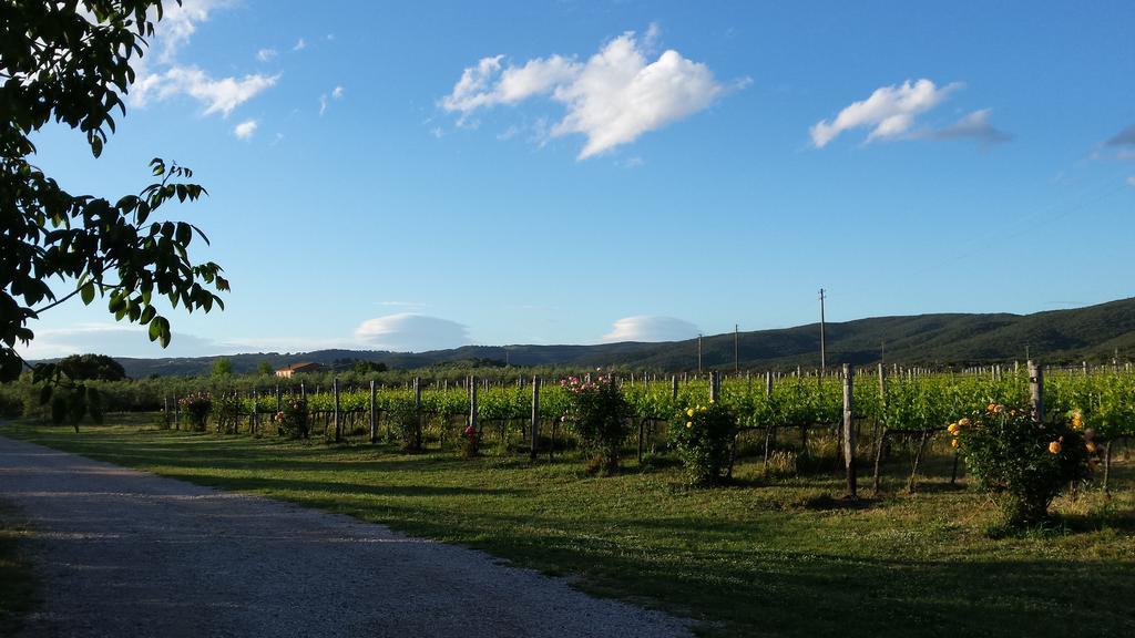 فيلا Agriturismo Podere La Cascata ماسا ماريتيما المظهر الخارجي الصورة
