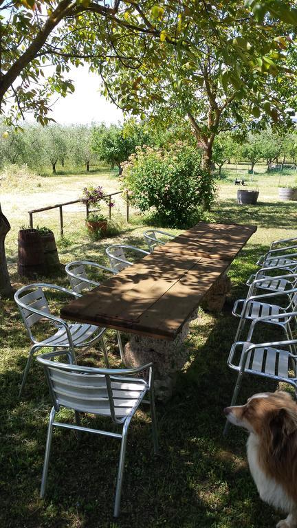 فيلا Agriturismo Podere La Cascata ماسا ماريتيما المظهر الخارجي الصورة